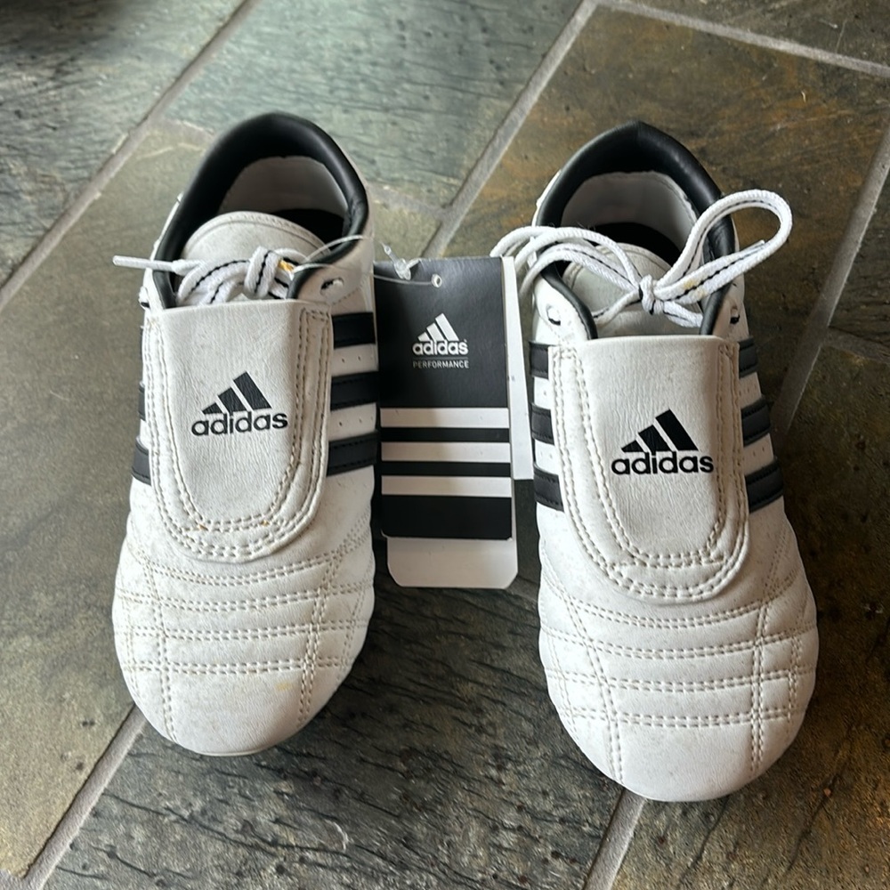 Adidas Taekwondo shoe for kids